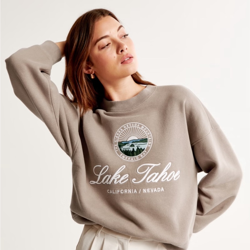 NWT A&F Lake Tahoe L Embroidered Destination Park Sweater Abercrombie & Fitch